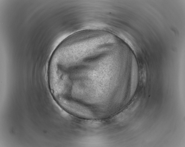 X0000111681103200908141445