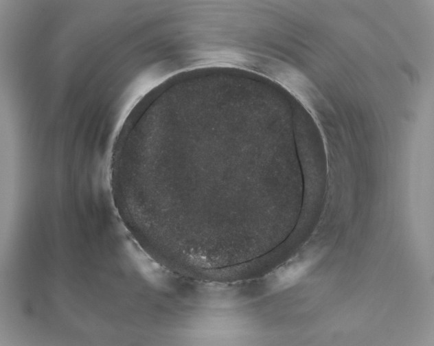 X0000111681104200908141445