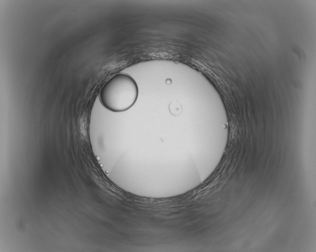 X0000111681106200908141444