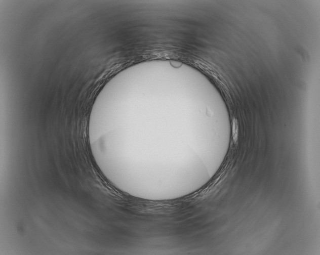 X0000111681107200908141444