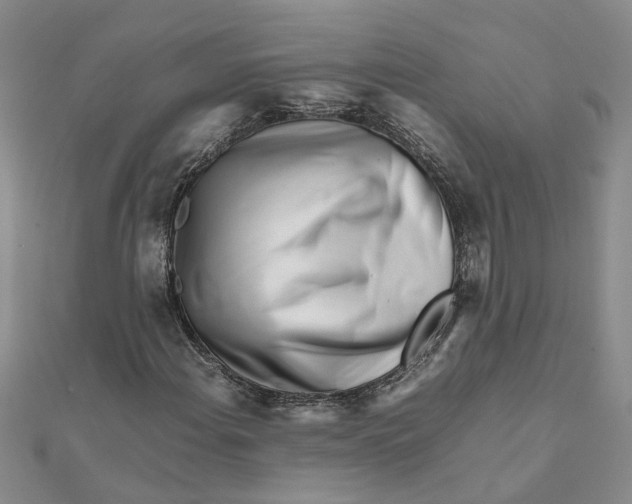 X0000111681108200908141444