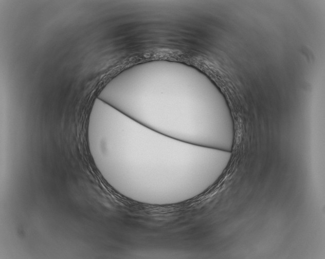 X0000111681109200908141444