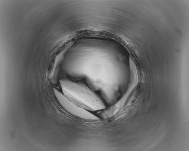 X0000111681110200908141444