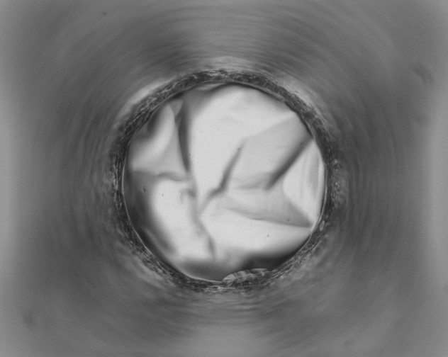 X0000111681112200908141444