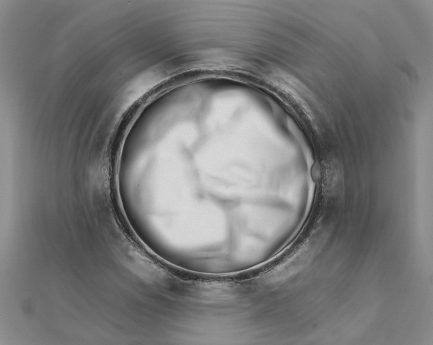 X0000111681114200908141444