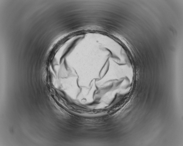 X0000111681115200908141444