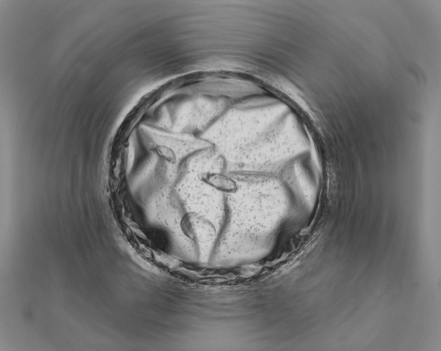 X0000111681116200908141444