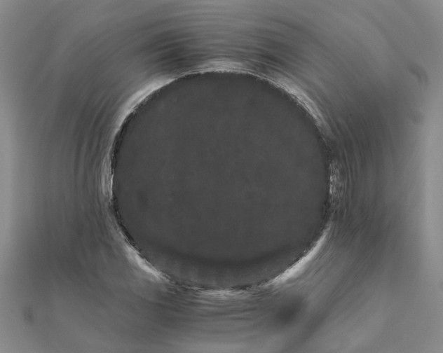 X0000111681117200908141444