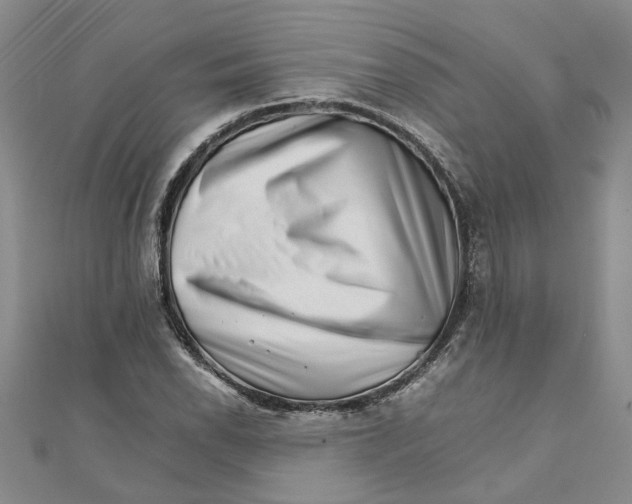 X0000111681118200908141444