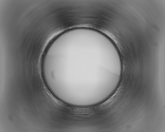 X0000111681119200908141444