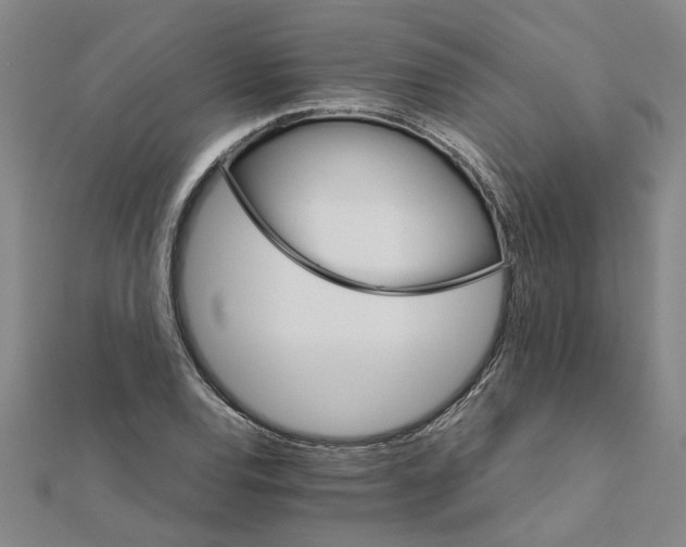 X0000111681120200908141444