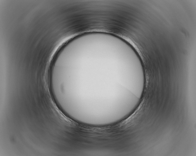 X0000111681123200908141444