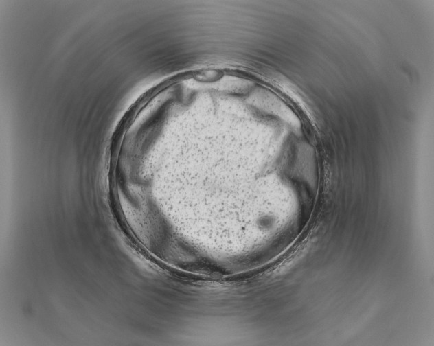 X0000111681124200908141444