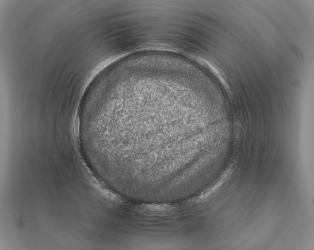 X0000111681125200908141444