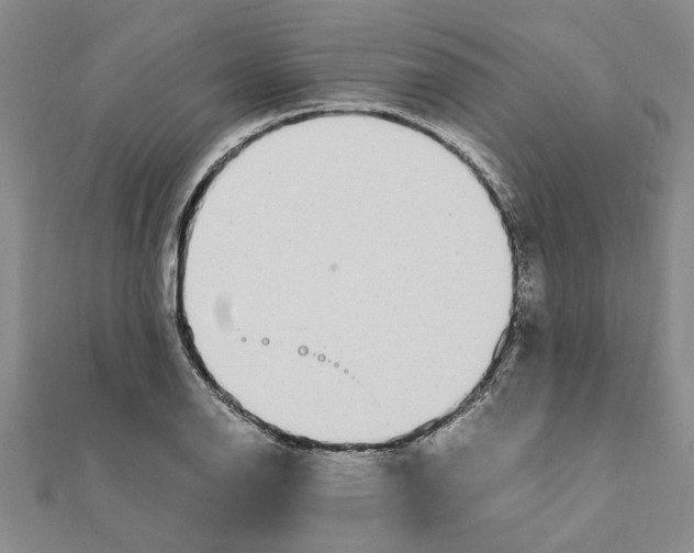 X0000111681126200908141444