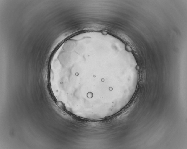 X0000111681130200908141444