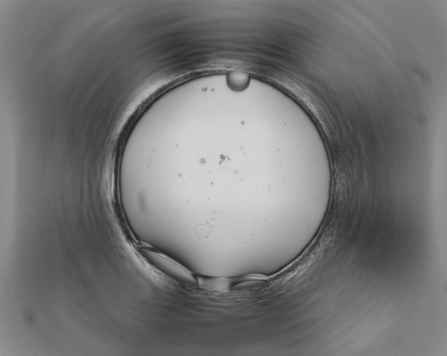 X0000111681131200908141444