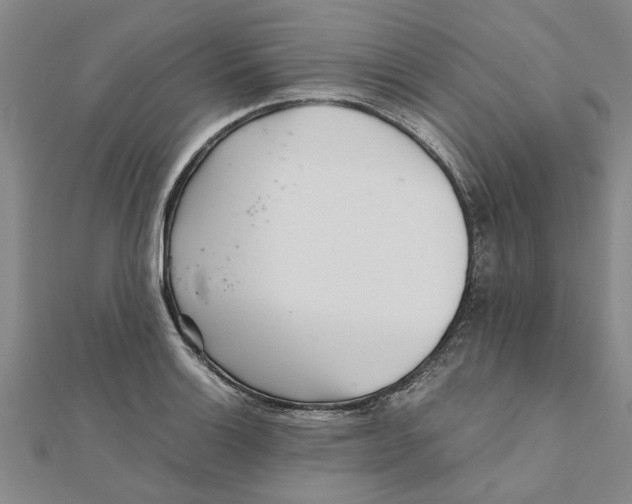 X0000111681132200908141444