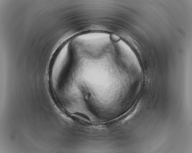 X0000111681133200908141444