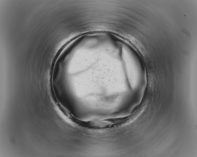 X0000111681134200908141444