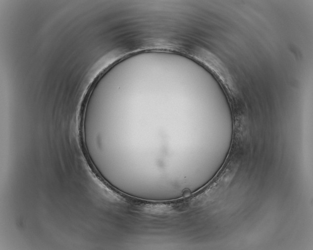 X0000111681135200908141444