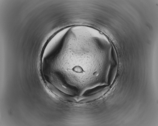 X0000111681136200908141444