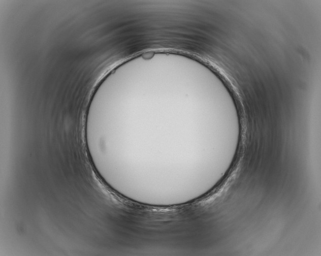 X0000111681137200908141444