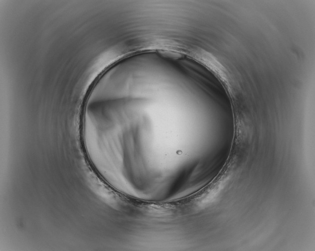 X0000111681138200908141444