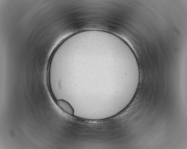 X0000111681139200908141444