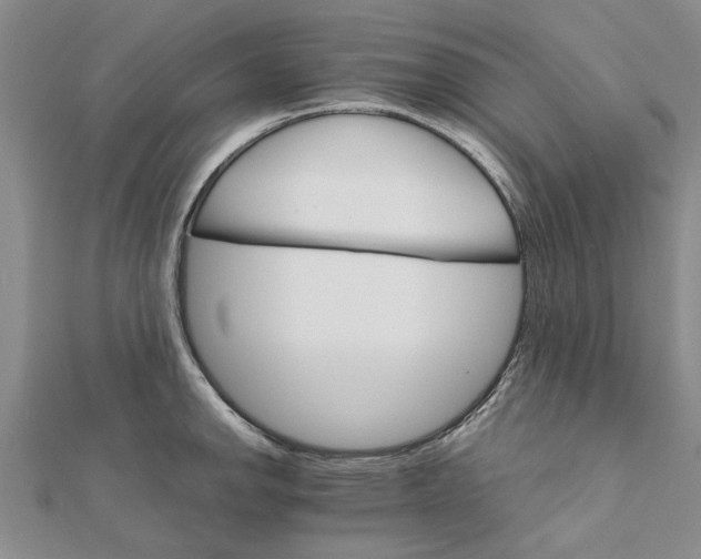 X0000111681142200908141444