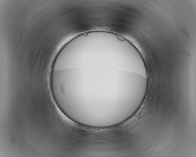 X0000111681143200908141444