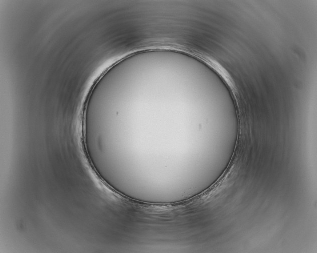 X0000111681144200908141444