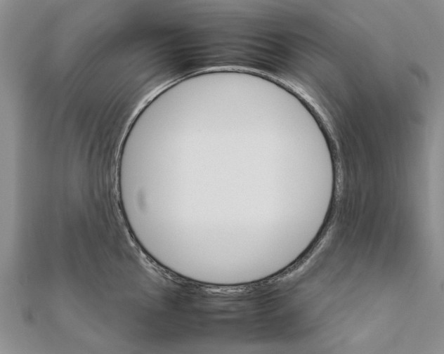 X0000111681145200908141444