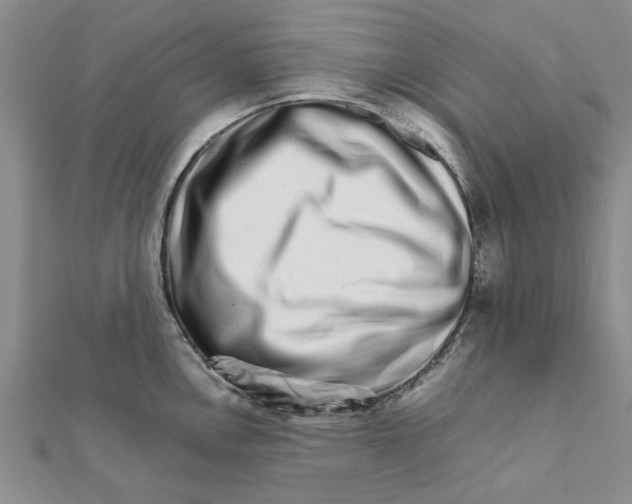 X0000111681146200908141444