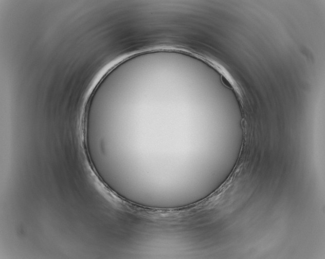 X0000111681148200908141445