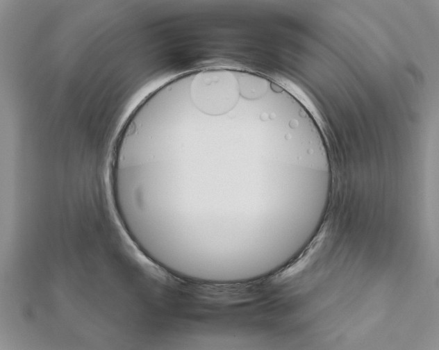 X0000111681149200908141445