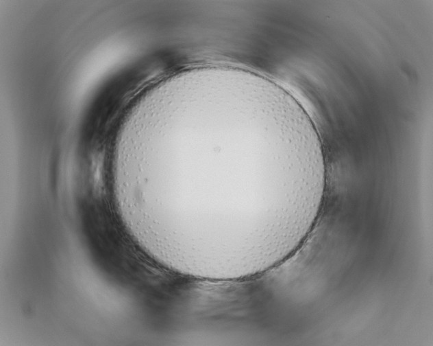 X0000111681150200908141445