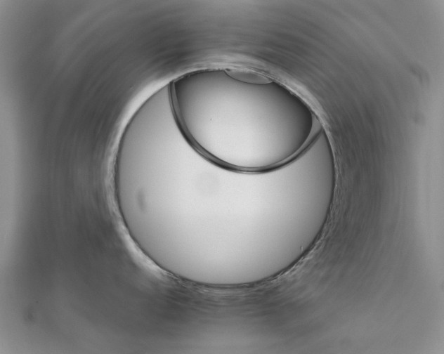 X0000111681152200908141445