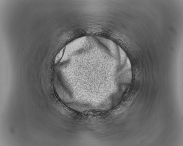 X0000111681153200908141444