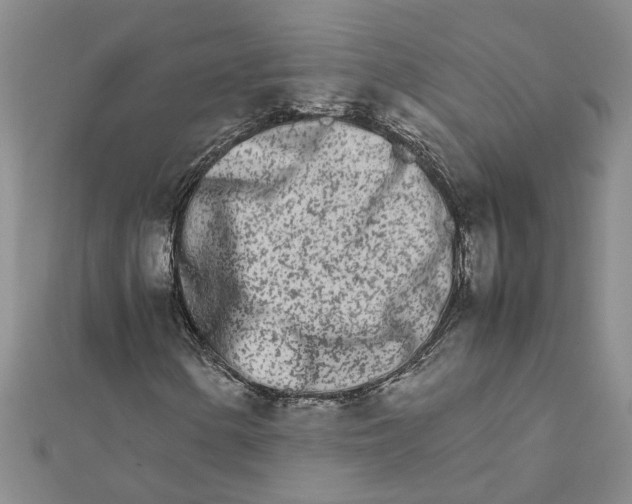 X0000111681154200908141444