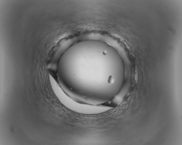 X0000111681157200908141444