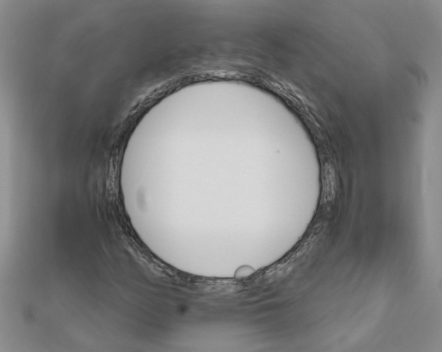 X0000111681158200908141444