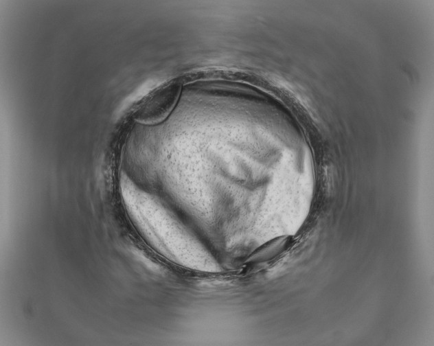 X0000111681159200908141444