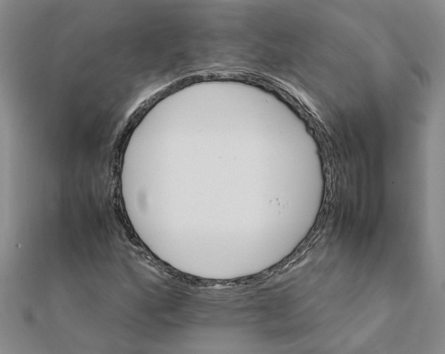 X0000111681160200908141444