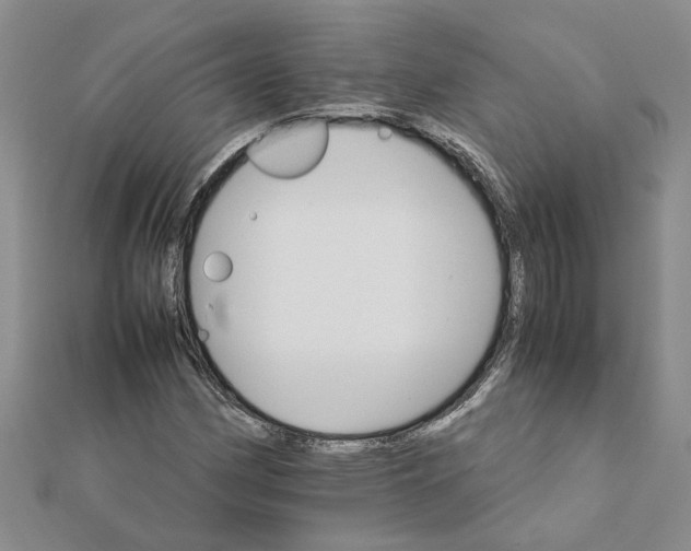 X0000111681162200908141444