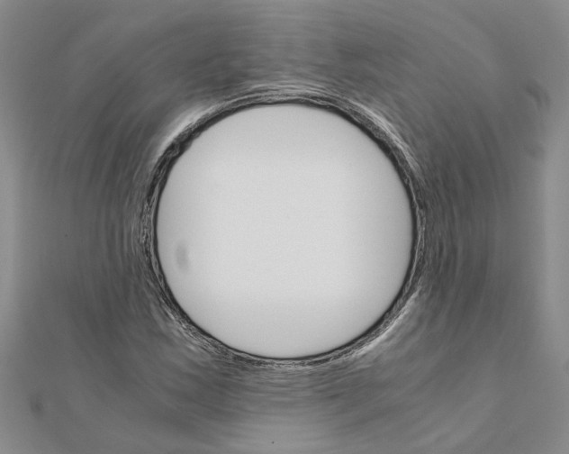 X0000111681163200908141444