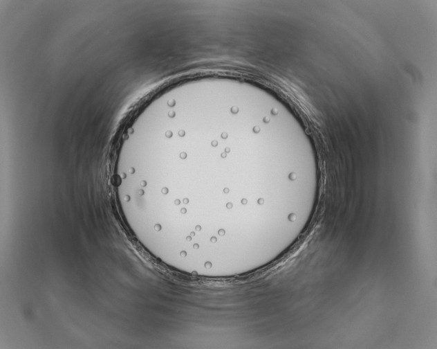 X0000111681164200908141444