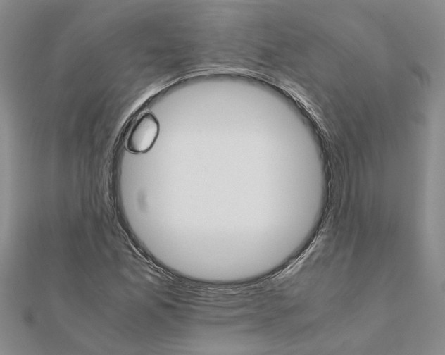 X0000111681165200908141444