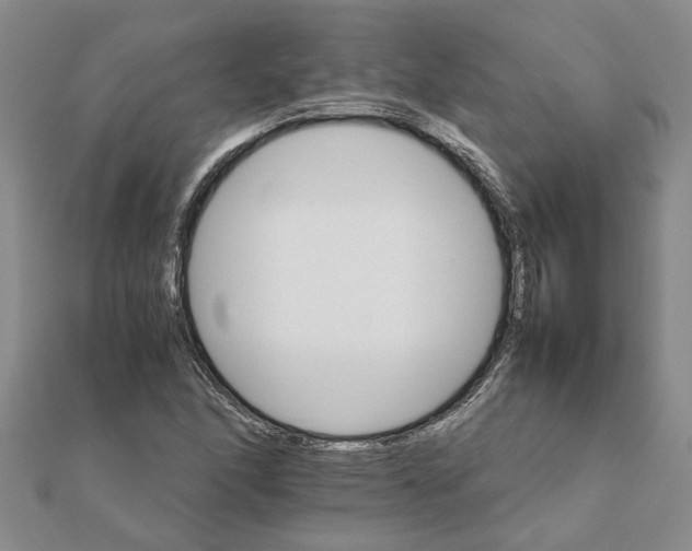 X0000111681166200908141444