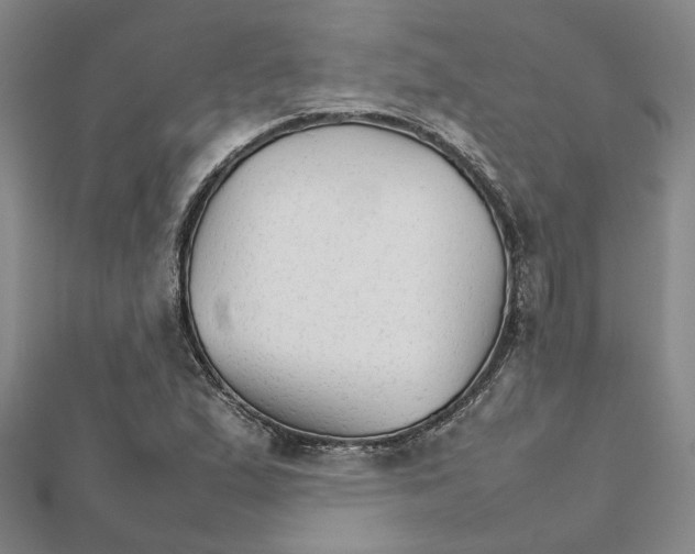 X0000111681167200908141444